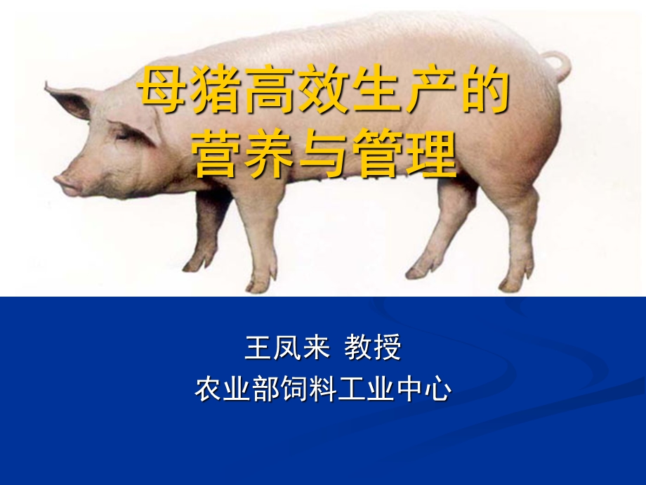 母猪高效生产的营养与.ppt_第1页