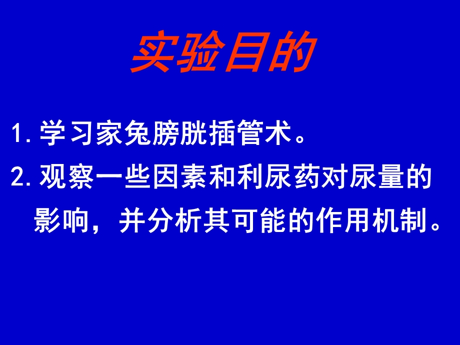 尿液生成的影响因素.ppt_第2页