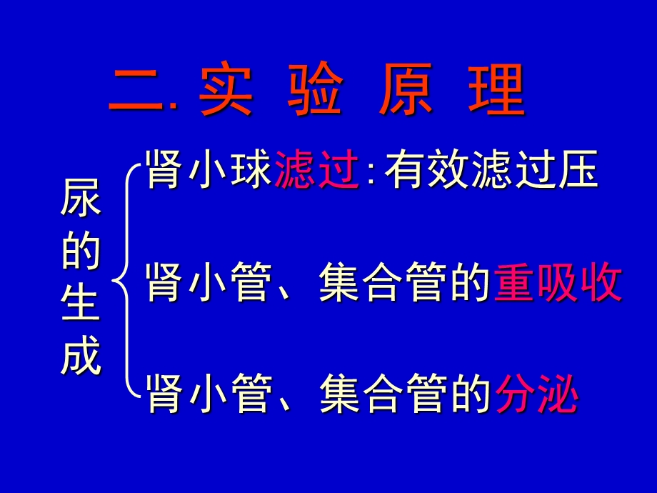 尿液生成的影响因素.ppt_第3页