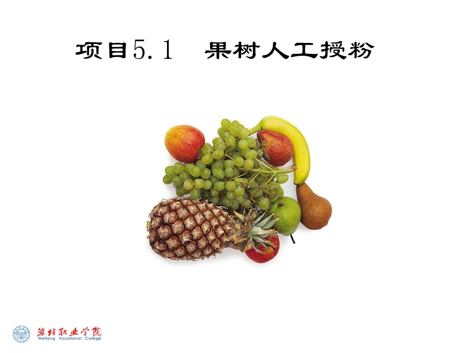 果树授粉及疏花.ppt_第1页