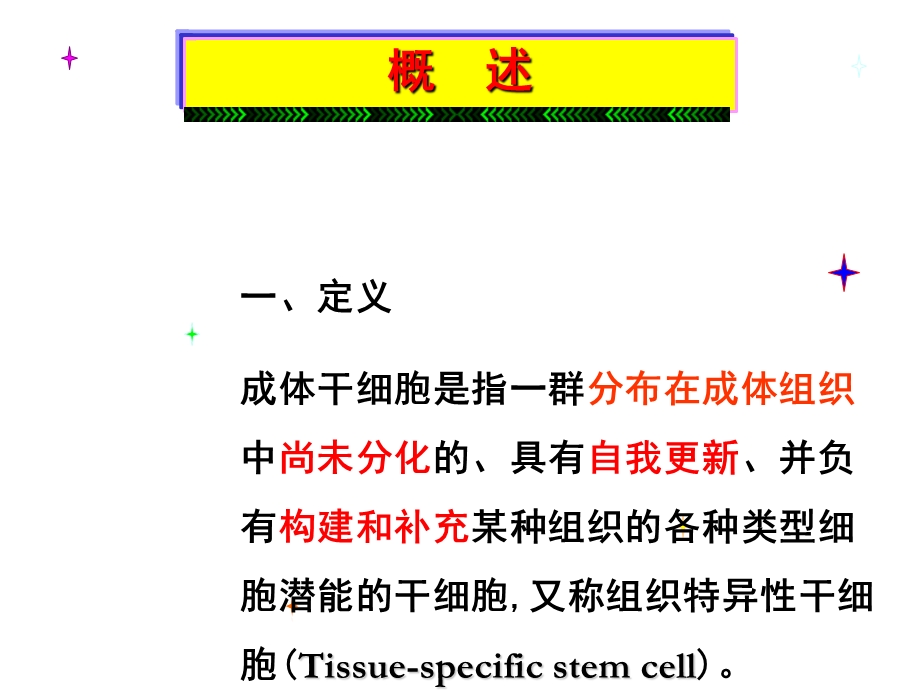 干细胞-成体干细胞.ppt_第3页