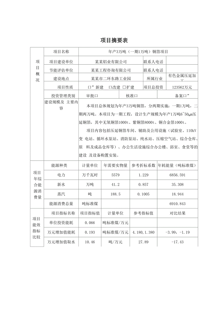 年产3万吨铜箔项目节能评估报告书.docx_第2页