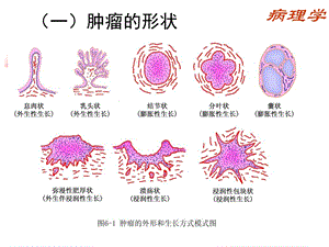 换个角度精简版.ppt