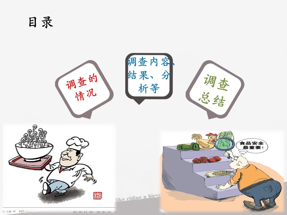 形式与政策食品安全问题.ppt_第2页