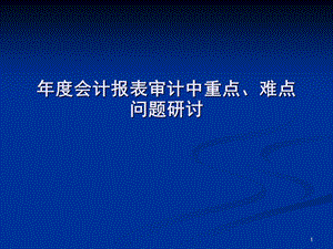 年度会计报表审计中重点、难点问题研讨.ppt