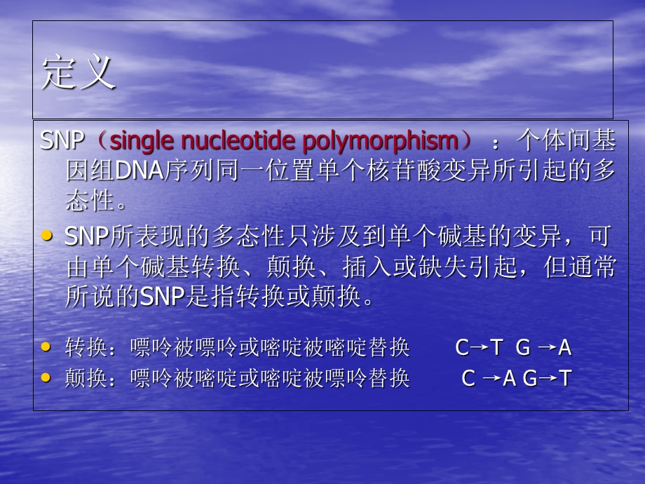 核苷酸多态性SN.ppt_第3页
