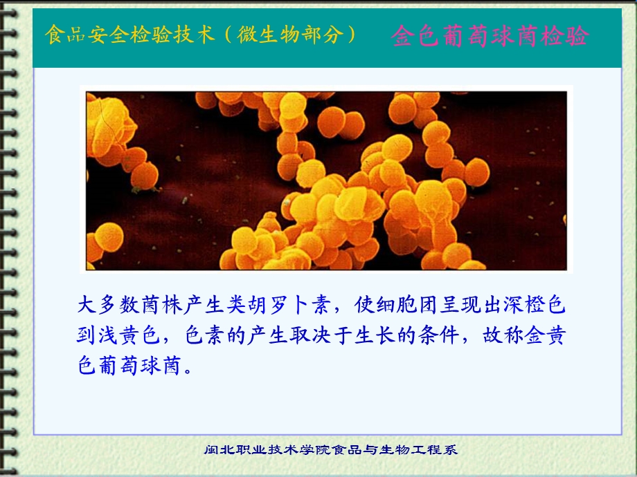 微生物-金黄色葡萄球菌.ppt_第2页