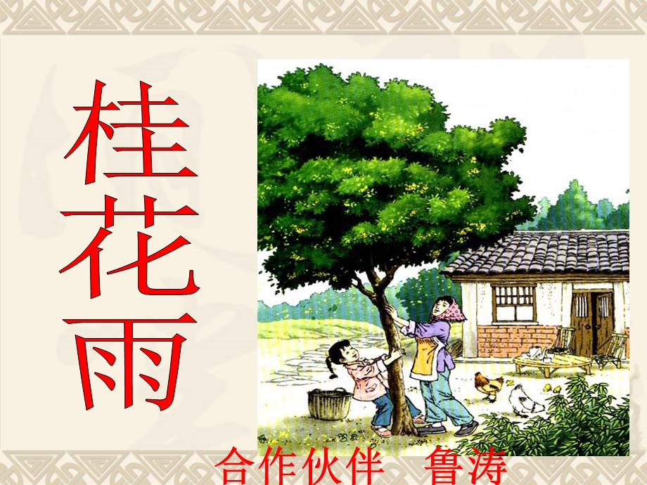 桂花雨-公开课(完美版).ppt_第1页