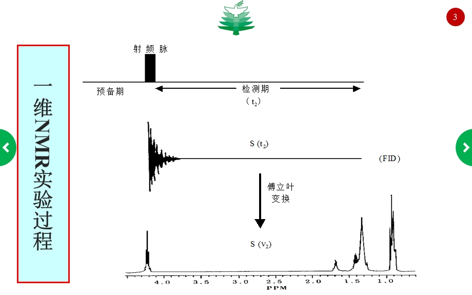 核磁共振波谱-二维谱(研).ppt_第3页