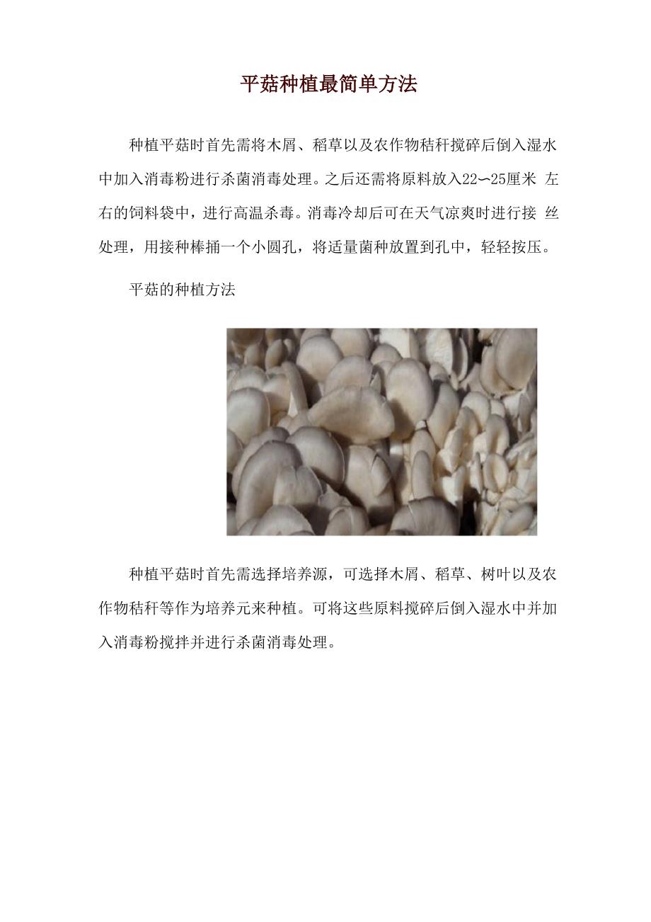 平菇种植最简单方法.docx_第1页