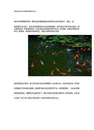 庭院鱼池水混水绿最简单解决办法.docx