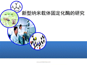 新型纳米载体固定化酶的研究.ppt