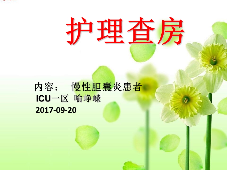 慢性胆囊炎患者的护理查房.ppt_第1页