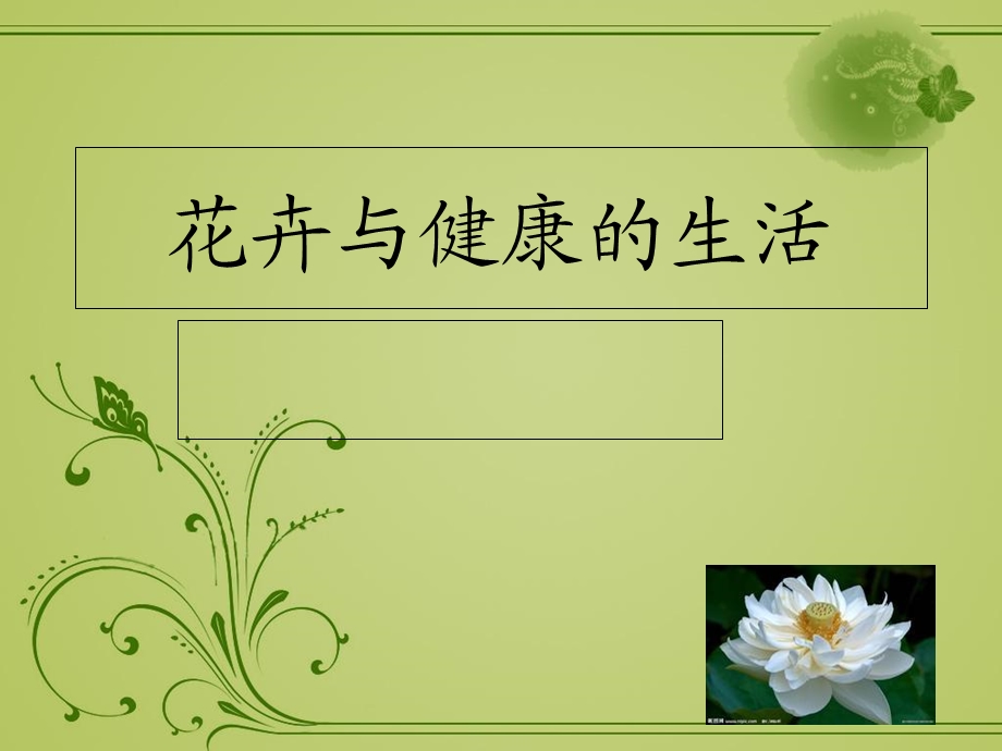 花卉与健康的生活.ppt_第1页