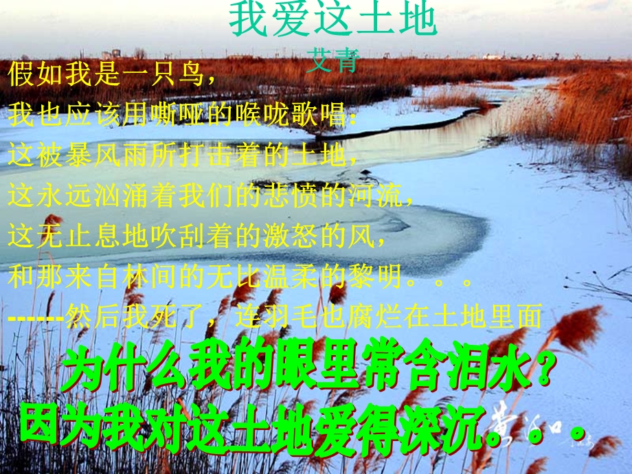 河床-昌耀课件.ppt_第2页