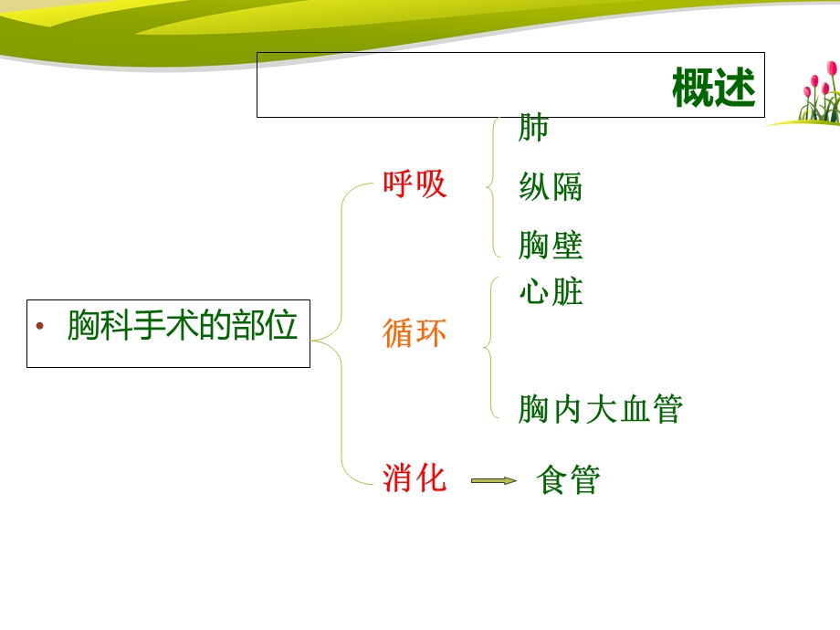 胸科手术的麻醉ppt.ppt_第2页