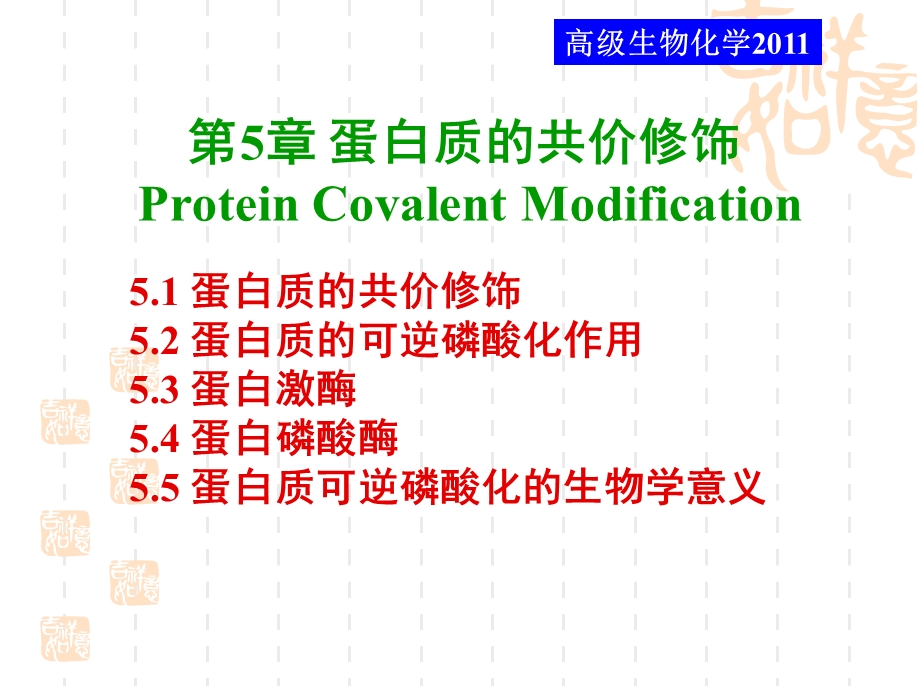 蛋白质共价修饰.ppt_第2页