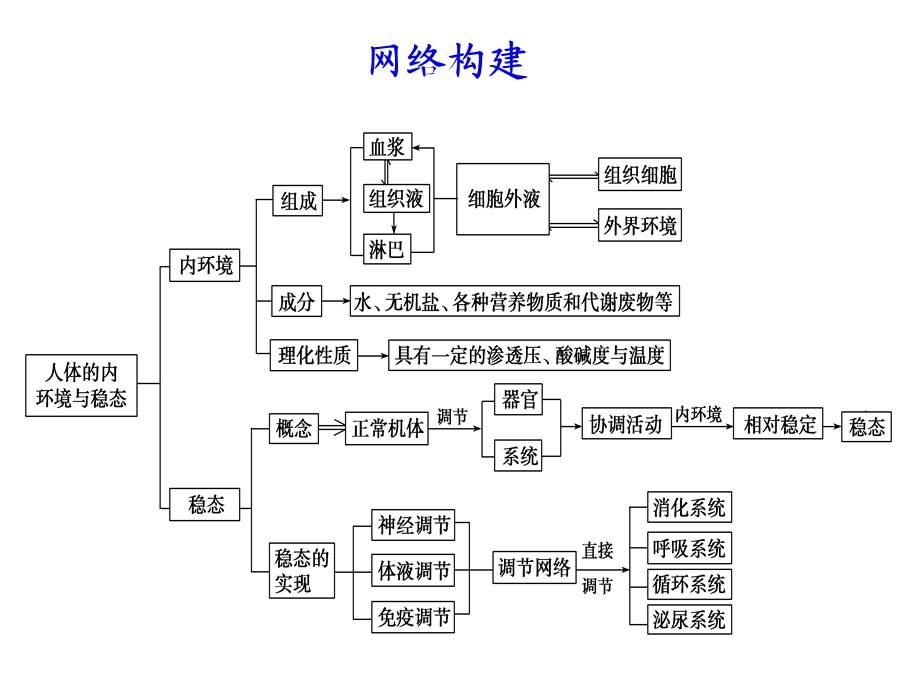 生物-第一章复习-人的内环境与稳态.ppt_第2页