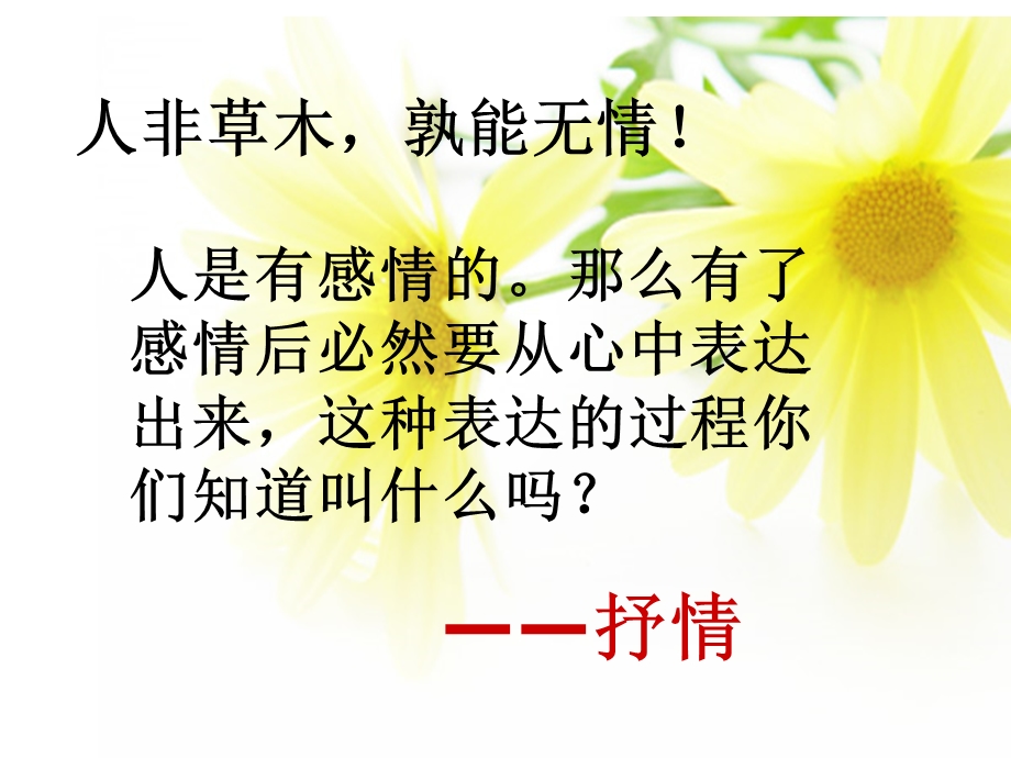 选择恰当地抒情方式.ppt_第1页