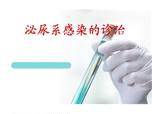 泌尿系感染的诊治.ppt