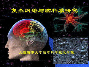 脑科学与复杂网络研究.ppt