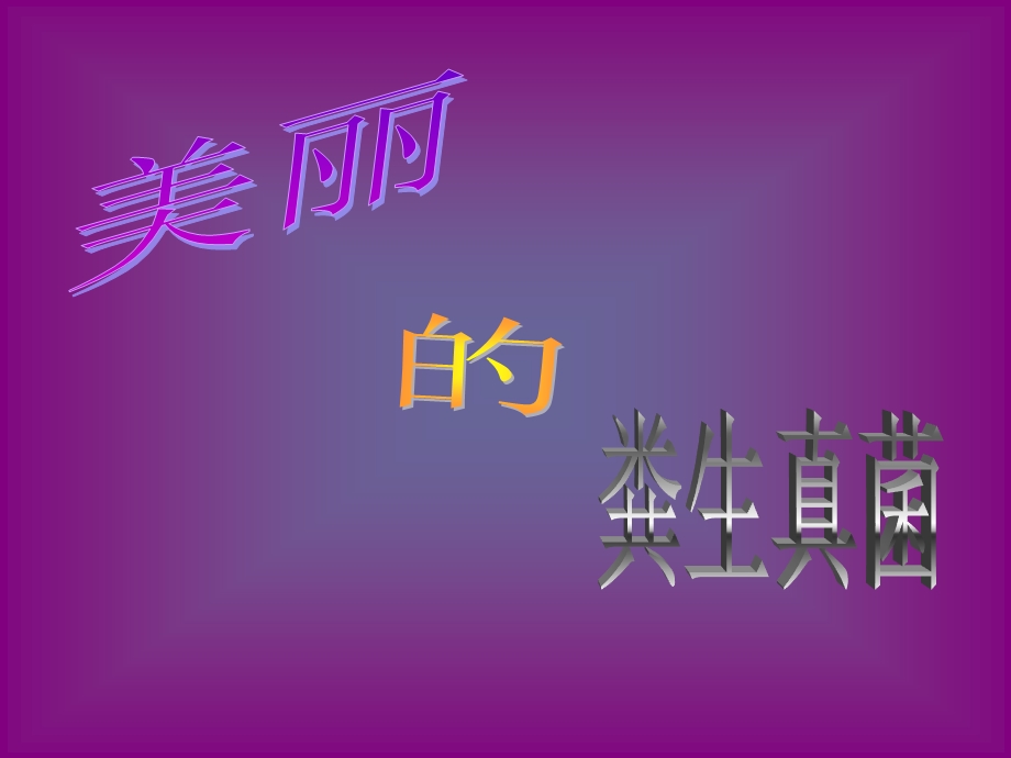 美丽的腐生真菌.ppt_第1页