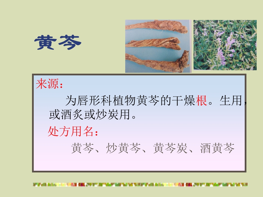 清热燥湿药中药基础知识.ppt_第3页