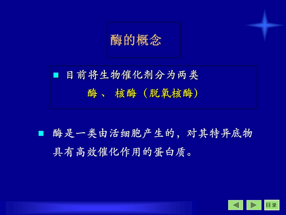 沈阳药科大学生物化学课件-第3章酶.ppt_第2页