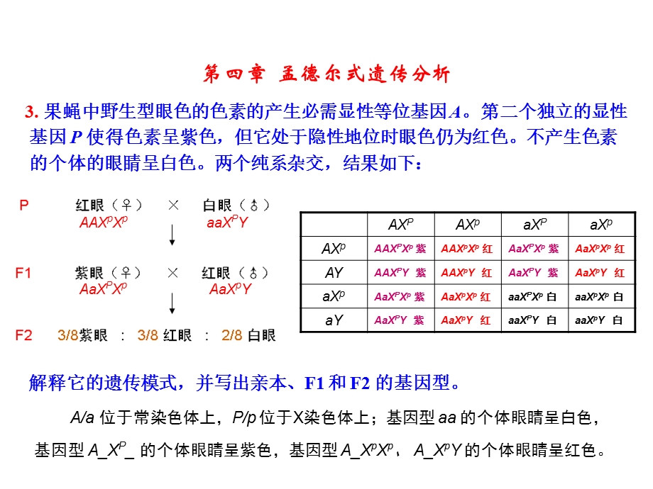 遗传学-第二版-课后部分答案(4~8章).ppt_第2页