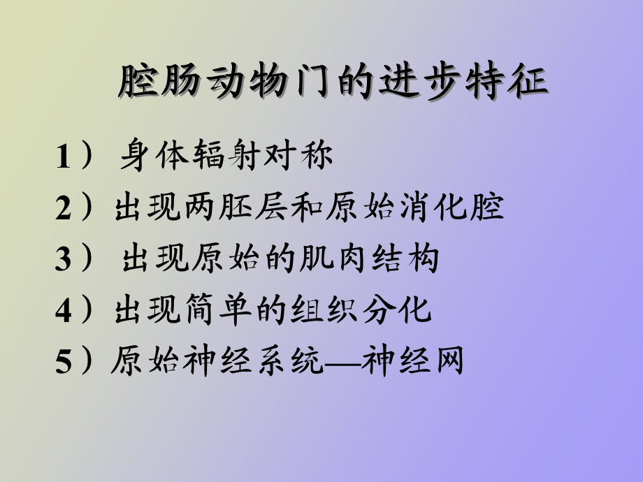 腔肠动物观察.ppt_第2页