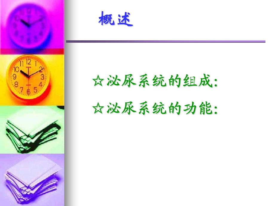 泌尿系统的组成泌尿系统的功能.ppt_第2页