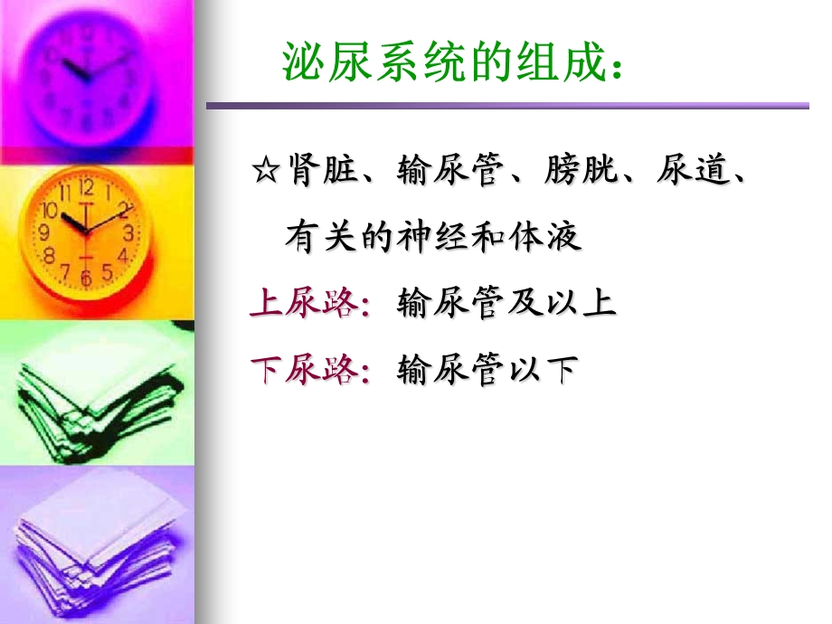 泌尿系统的组成泌尿系统的功能.ppt_第3页