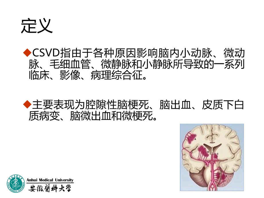 脑小血管病共识.ppt_第3页