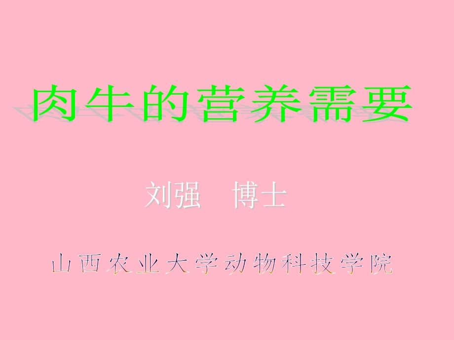 肉牛营养需要.ppt_第2页