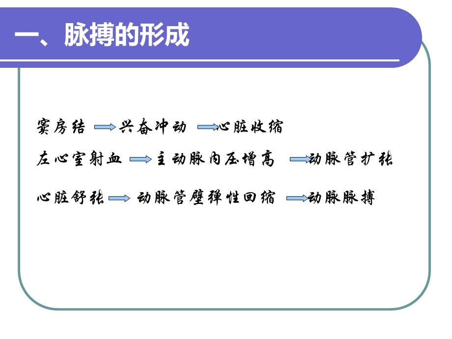 脉搏的观察与护理ppt课件.ppt_第2页