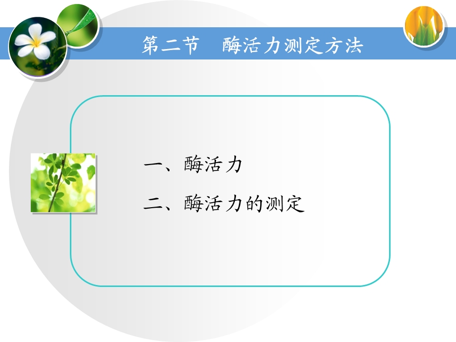 酶活力的测定.ppt_第3页