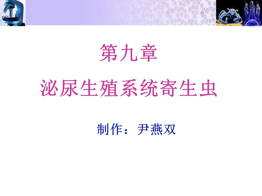 泌尿生殖系统寄生虫.ppt_第1页