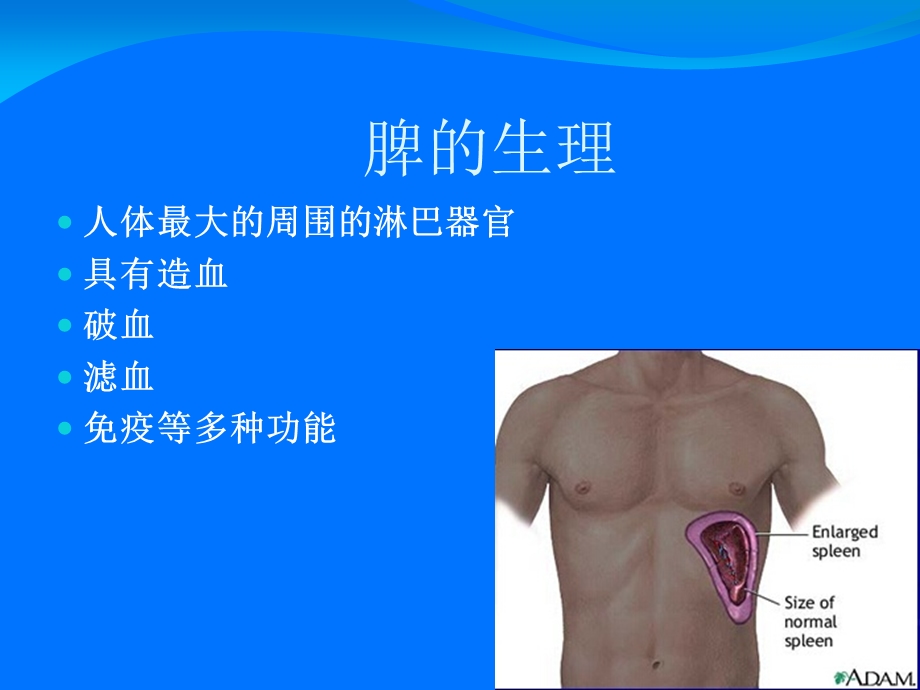 脾脏疾病的影像诊断.ppt_第3页