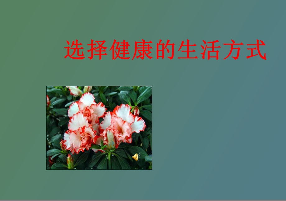 选择健康的生活方式完整.ppt_第1页