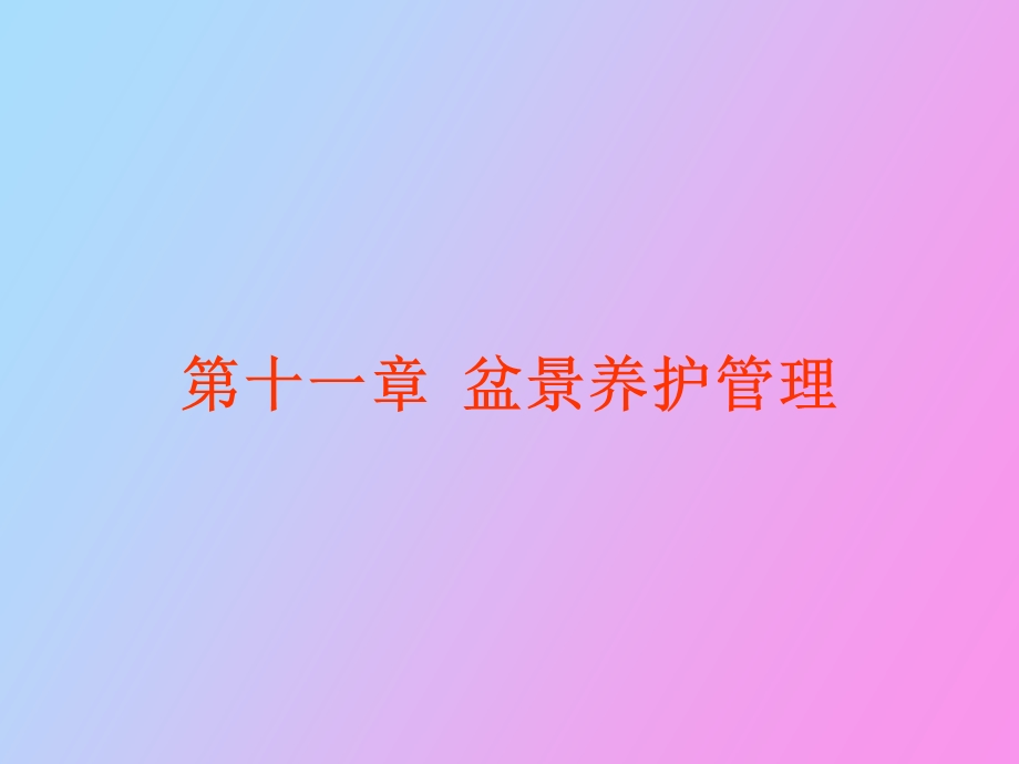 盆景养护管理.ppt_第1页