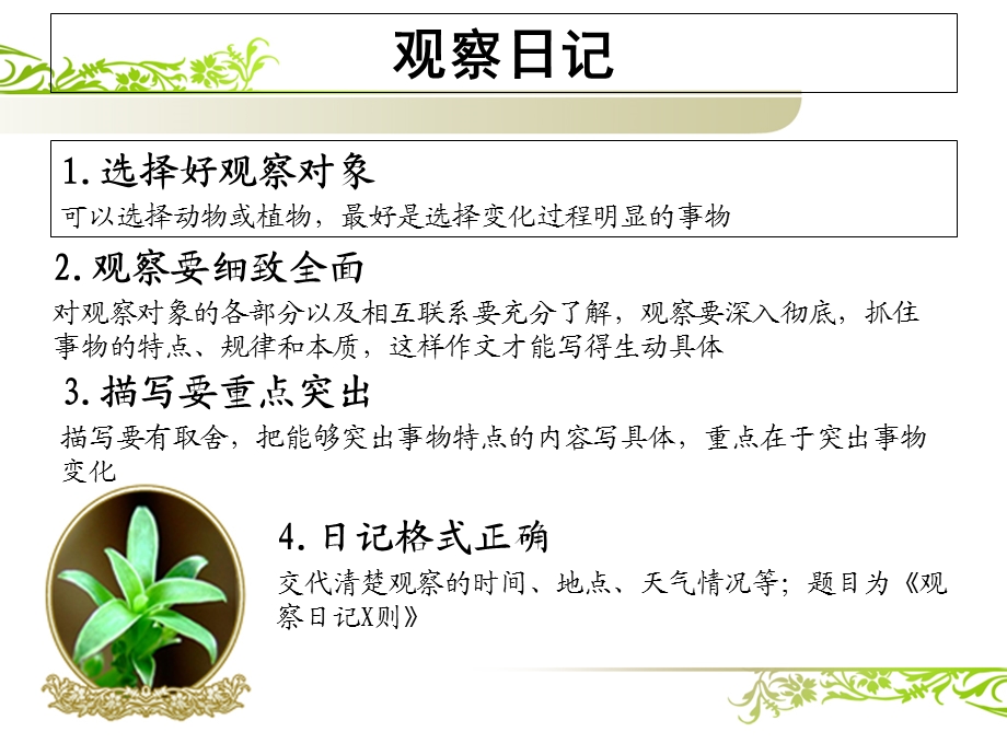 绿豆芽观察日记.ppt_第1页