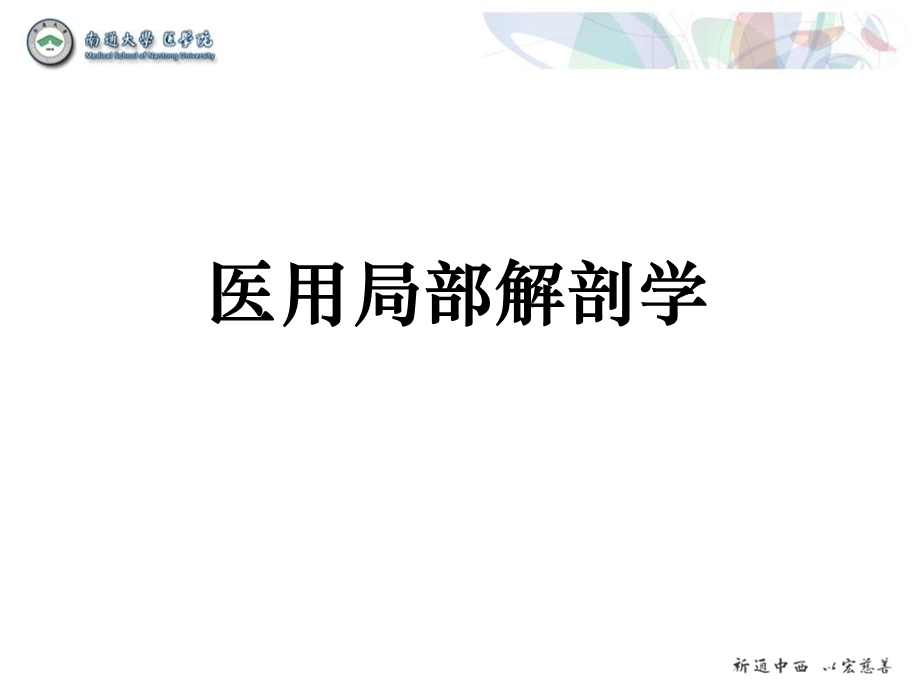 胸前腋区股前内侧区-医本11级.ppt_第1页