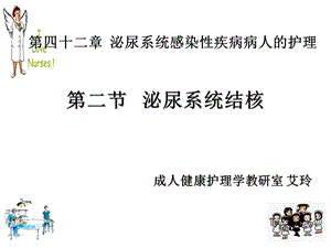 泌尿系结核护理ppt课件.ppt