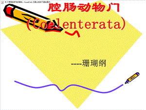 腔肠动物珊瑚纲TJH.ppt