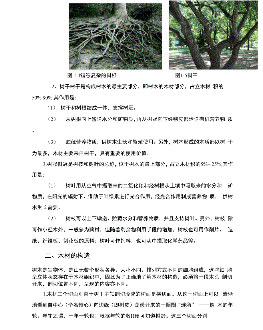 手工木工制作：木材的基本知识.docx_第3页