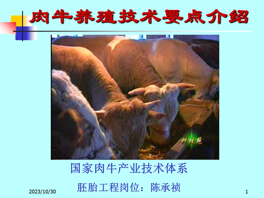 肉牛养殖技术要点介绍.ppt_第1页