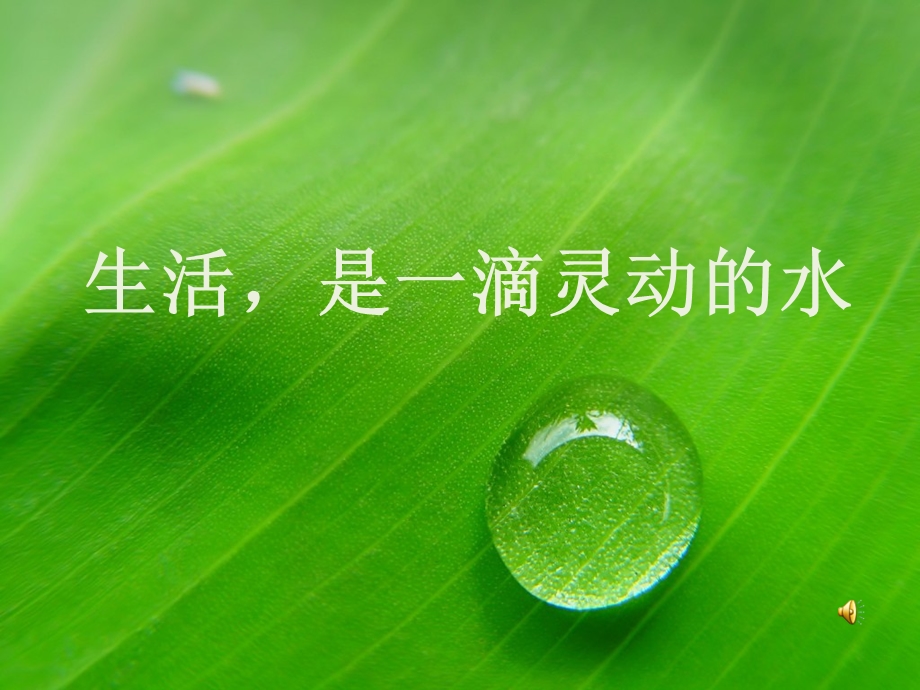 生活,是一滴灵动的水.ppt_第1页