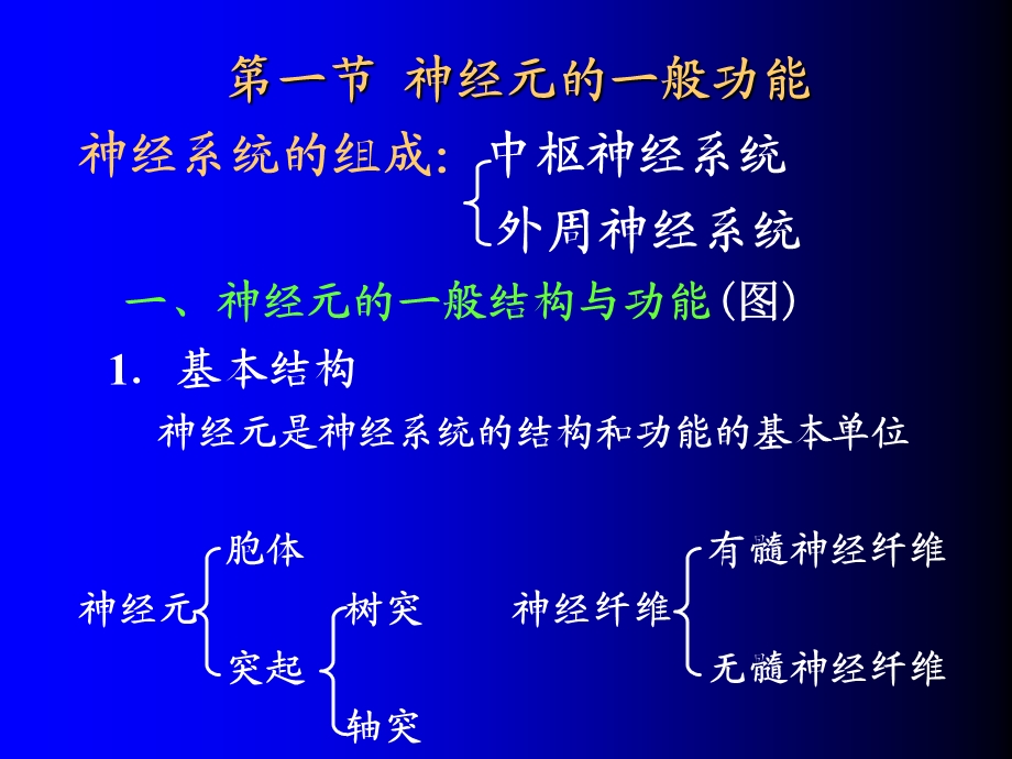 生理学-神经系统的功能.ppt_第2页