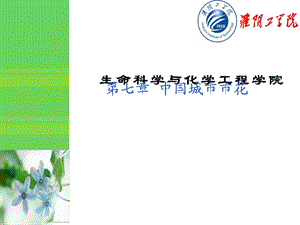 花卉欣赏与健康(中国城市市花).ppt