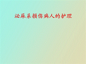 泌尿外科护理.ppt